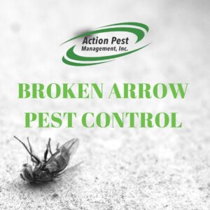 Broken Arrow Pest Control Specialists 
